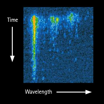 TRS image streak camera